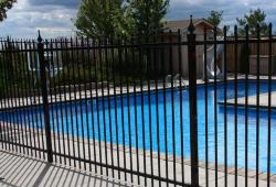 Inspiration Gallery - Pool Fencing - Image: 126